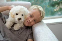 Bearington Bisquit Plush Labradoodle Stuffed Animal Puppy Dog, 13 Inch