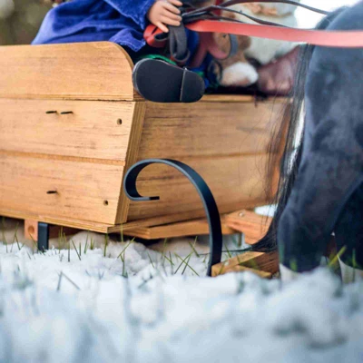 The Queen's Treasures 18 Inch Doll Little House Covered Wagon And Sleigh - Image 4