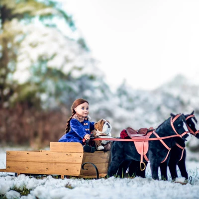 The Queen's Treasures 18 Inch Doll Little House Covered Wagon And Sleigh - Image 2